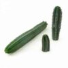 Three green cacti on white
