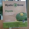 Peyote Lophophora williamsii seeds