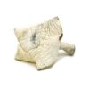 Dried mushroom on white background