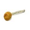 Golden cap mushroom on white.