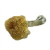 Dried psychedelic mushroom