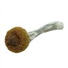 Dried mushroom on white background