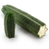 Green san pedro cactus on white background